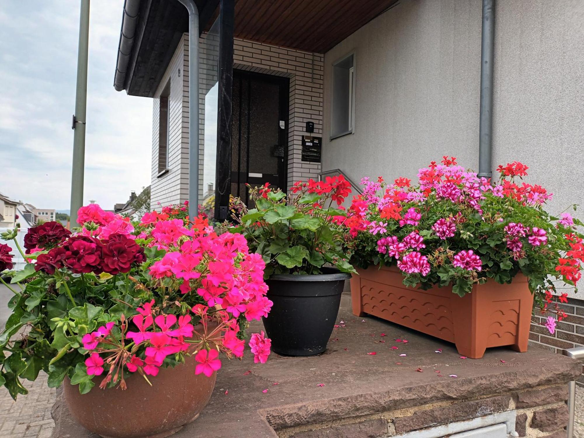 Ferienwohnung Kassel - 2 ภายนอก รูปภาพ